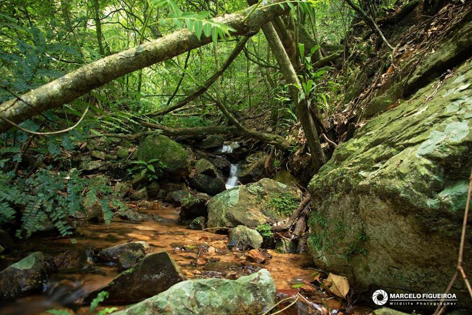 Вилла Sitio Serra Das Paineiras Жундиаи Экстерьер фото